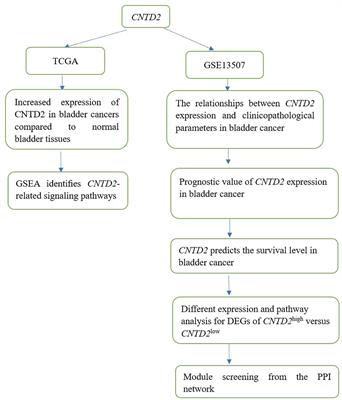 Enhanced Expression of CNTD2/CCNP Predicts Poor Prognosis in Bladder Cancer Based on the GSE13507